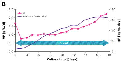 In dynamic perfusion, a high viable cell density (VCD) of 150 × 10^6 cells/mL at 1.5 VVD was achieved, and both volumetric (VP) and cell specific (qP) productivities were increased over time. In steady state perfusion, target VCD of 50 × 10^6 cells/mL was maintained at 1.5 and 1.0 VVD, and both VP and qP remained stable.