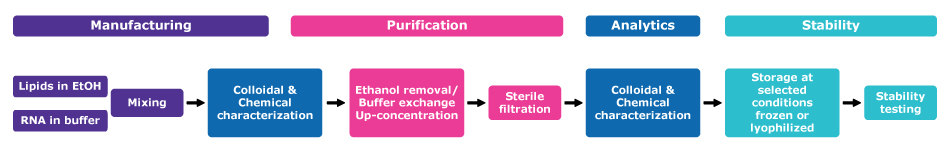 LNP Manufacturing Process flow highlighting the different steps in lipid nanoparticle formulation: manufacturing (using lipids dissolved in ethanol, RNA dissolved in buffer, and a mixing step), purification (which includes solvent removal, buffer exchange, up-concentration and sterile filtration steps), analytics for characterization (at various stages in the process), and storage stability testing.