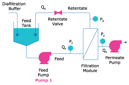  Cell concentration, wash, and recovery steps in plasmid DNA harvest