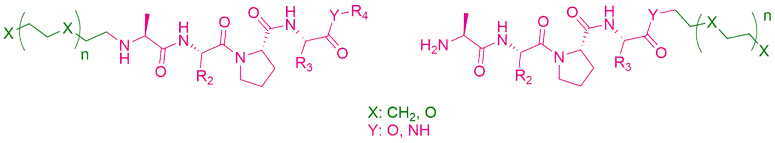 AVP-based lead compounds are turned into degrader building blocks through linker conjugation at the N- or C-terminus.