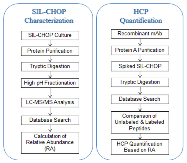 HCP Characterization and Quantification Workflow