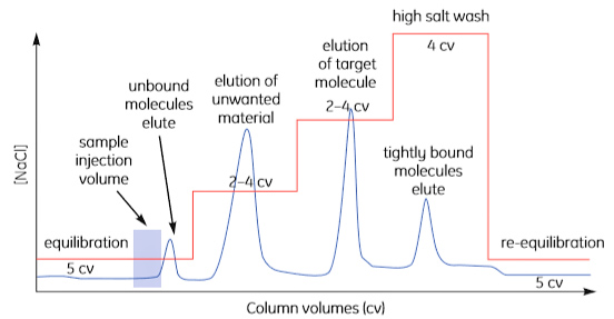 Step elution Step elution