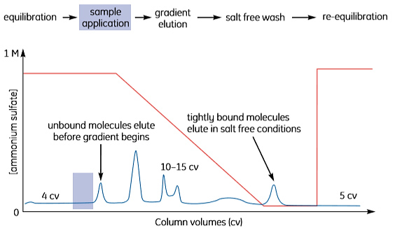 Step elution Step elution