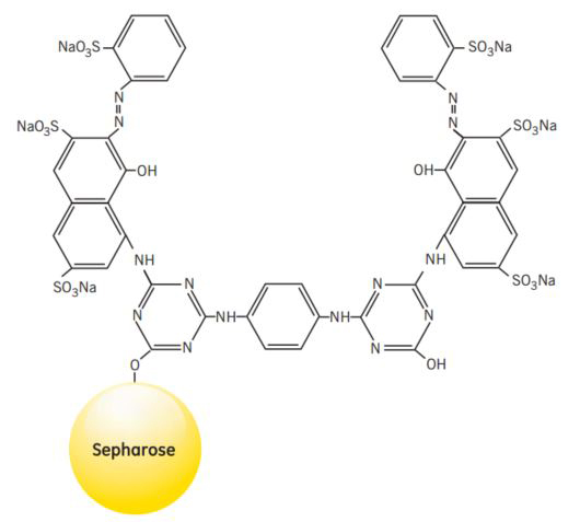 Partial structure of Red Sepharose® CL-6B