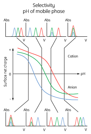 Effect of pH on protein elution patterns Effect of pH on protein elution patterns