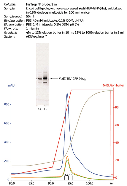Purification of a (histidine)8-tagged membrane protein Purification of a (histidine)8-tagged membrane protein