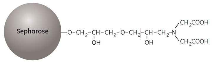 Partial structure of Chelating Sepharose High Performance and Chelating Sepharose Fast Flow. Partial structure of Chelating Sepharose High Performance and Chelating Sepharose Fast Flow.