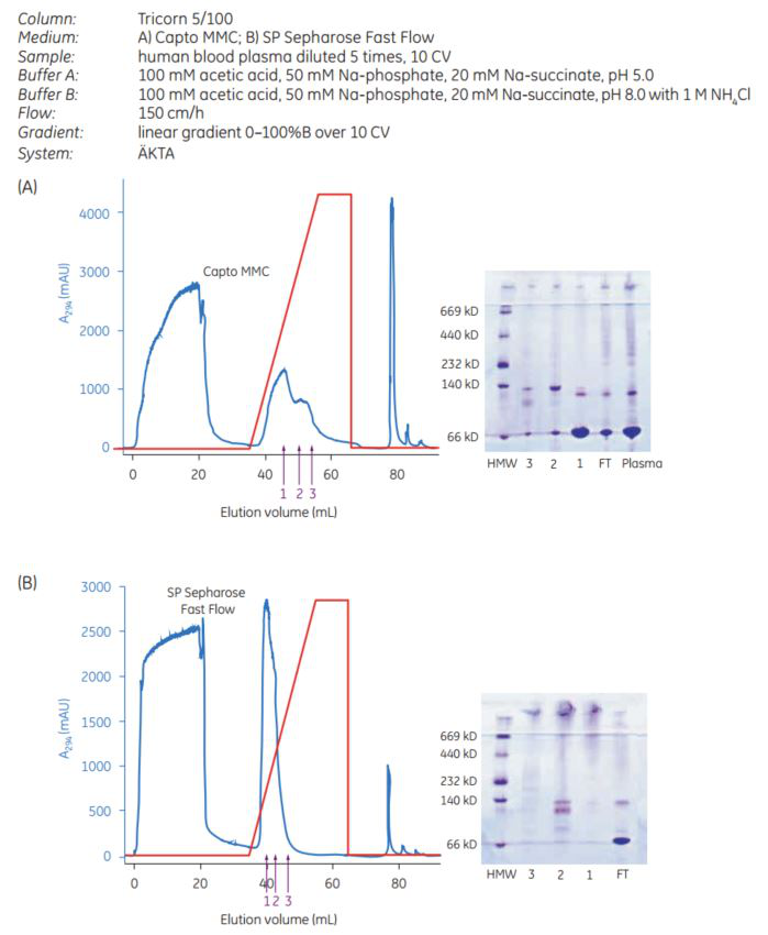 selectivity-capto-mmc-sp-sepharose.png Capto MMC and SP Sepharose Fast Flow