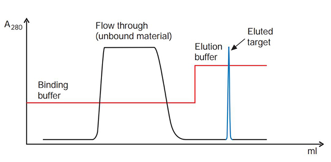 troubleshooting-affinity-chromatography-1 Target elutes as a sharp peak. Satisfactory result