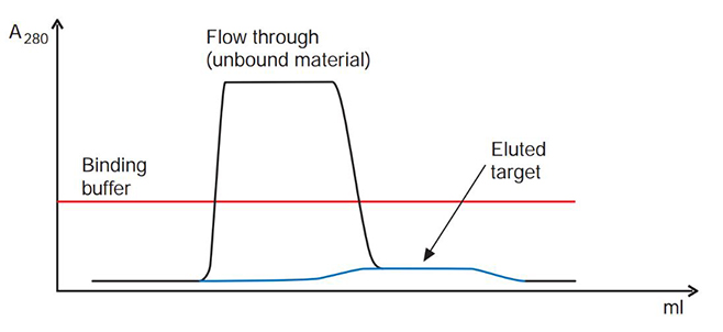 troubleshooting-affinity-chromatography-2 Target is a broad, low peak that elutes while binding buffer is being applied