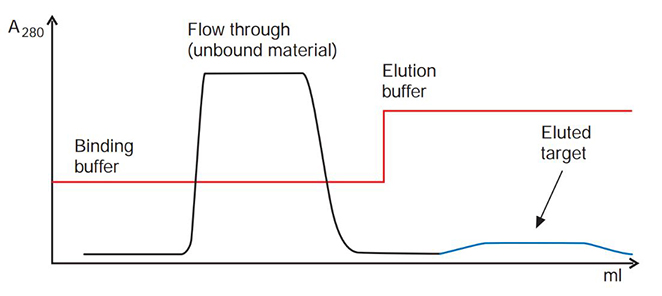 troubleshooting-affinity-chromatography-3 Target elutes in a broad, low peak