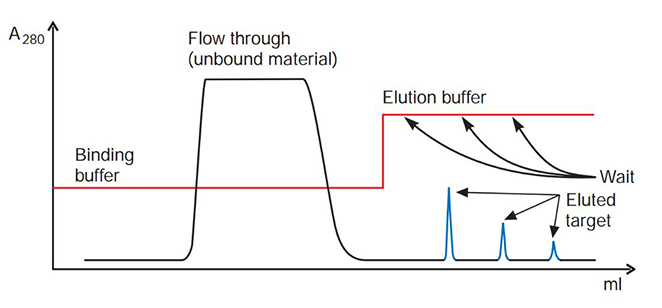 troubleshooting-affinity-chromatography-4 Target elutes in a broad, low peak