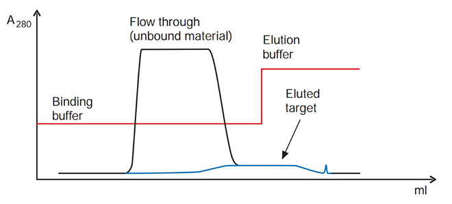 troubleshooting-affinity-chromatography-5 Some of the target molecule elutes as a broad