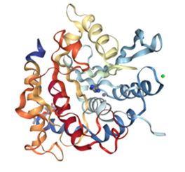 Western Blotting: Why Are Observed and Calculated Molecular Weights Different? Structure of glycosylated human glutaminyl cyclase