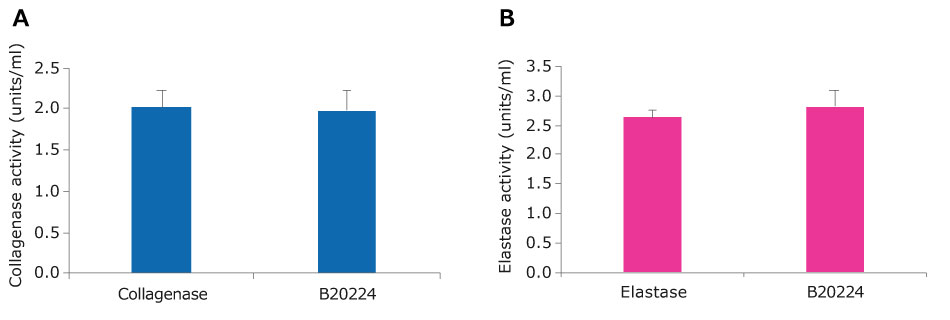 Collagenase-Elastase blend activity Bar graph of collagenase activity. Collagenase and the Collagenase-Elastase blend have an activity of around 2 units/ml. This is not statistically different as per a t test≤ 0.01. B. Bar graph of elastase activity. Collagenase and the Collagenase-Elastase blend have an activity of around 3 units/ml. This is not statistically different as per a t test≤ 0.01.