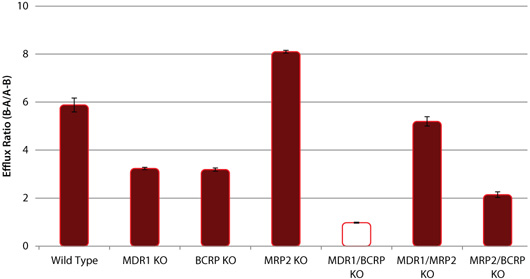 野生型(WT)和P-gp、BCRP和MRP2敲除(KO)细胞系中西咪替丁的外排 野生型(WT)和P-gp、BCRP和MRP2敲除(KO)细胞系中西咪替丁的外排