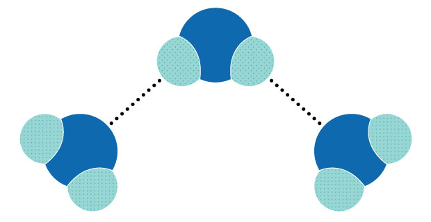 Schéma illustrant le concept de liaison hydrogène entre trois molécules d'eau. Les liaisons hydrogène sont représentées par des lignes pointillées entre les atomes d'hydrogène et d'oxygène.