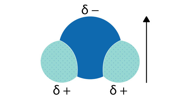 Schéma illustrant la polarité d'une molécule d'eau, montrant l'atome d'oxygène avec une charge négative partielle (δ-) et deux atomes d'hydrogène avec des charges positives partielles (δ+), ainsi qu'une flèche indiquant le moment dipolaire.
