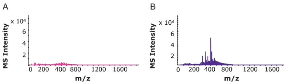 Bottled ultrapure water produces a background signal between 200 and 800 m/z that freshly produced ultrapure water does not Mass spectrum from freshly produced ultrapure water showing few small peaks (left) versus mass spectrum of bottled ultrapure water that has been stored for four weeks showing multiple peaks around 400 m/z (right).