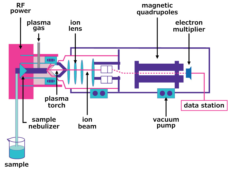 Schematic representation of the components of ICP-MS analysis ): Schema depicts components of an ICP-MS system. The sample enters a nebulizer, is carried by plasma gas energized by RF pump through the plasma torch, forming an ion beam. The beam passes through an ion lens, magnetic quadrupoles, and an electron multiplier, with a vacuum pump maintaining the chamber, leading to the data station.