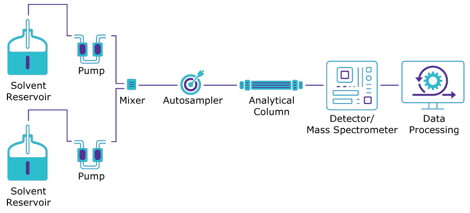 Schematic of an LC-MS instrument LC-MS system schematic showing two solvent reservoirs with pumps feeding into a mixer, followed by an autosampler, analytical column, detection via mass spectrometer and output by data processing.