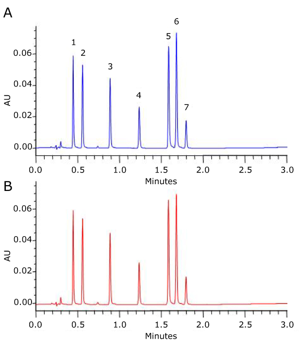 Schematic representation of an HPLC system Comparison of two UHPLC chromatograms showing the first run and the 600th run both with similar peaks, indicating reproducibility.