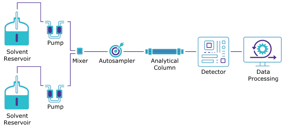 Schematic representation of an HPLC system HPLC diagram illustrating a dual solvent reservoir each with a pump, converging at a mixer, then flowing through an autosampler, analytical column, detector, and finally to a data processing system.