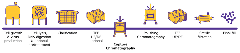 Schematic of AAV manufacturing process Process flow with symbols depicting the process steps Cell growth and virus production, cell lysis, DNA digestion and optional pretreatment, clarification, TFF UF/DF optional, Polishing chromatography, sterile filtration and final fill of AAV manufacturing, highlighting capture chromatography