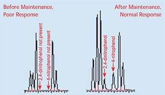 Chromatography Problems with a Dirty Liner