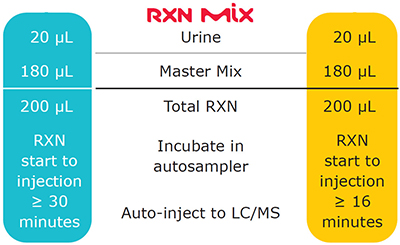 MS β-glucuronidase steps and workflow overview. MS β-glucuronidase steps and workflow overview.