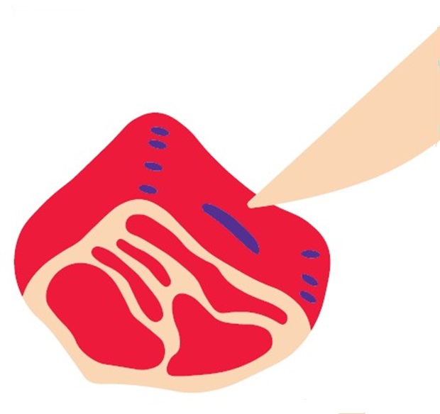 Illustration of a red meat sample with a highlighted test area being touched by a knife.. Illustration of a red meat sample with a highlighted test area being touched by a knife..