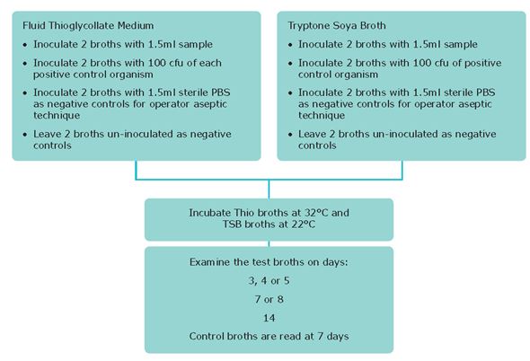 Testing Cells for Bacterial and Fungal Contamination Testing Cells for Bacterial and Fungal Contamination