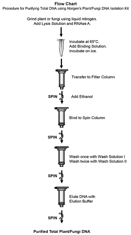 Plant/Fungi Total RNA Purification Kit Flow Chart