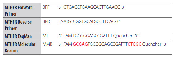 Adaptation of a Dual-Labeled Probe Assay to a Molecular Beacon