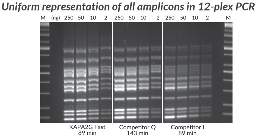 Multiplex PCR (12-plex) performed with the KAPA2G Fast Multiplex PCR Kit, Competitor Q, and Competitor I.