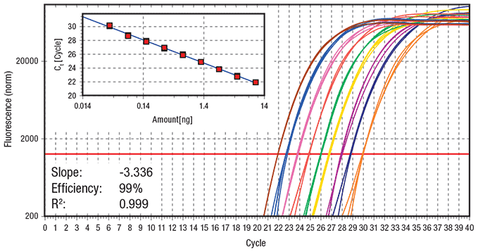 fast cycling protocol fast cycling protocol