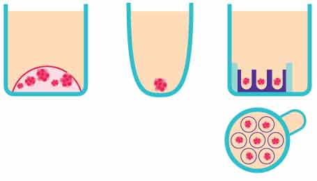 : Schematic of three in vitro 3D organoid screening methods : Schematic of three in vitro 3D organoid screening methods