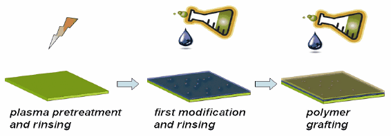 Procedure for standard surface modification