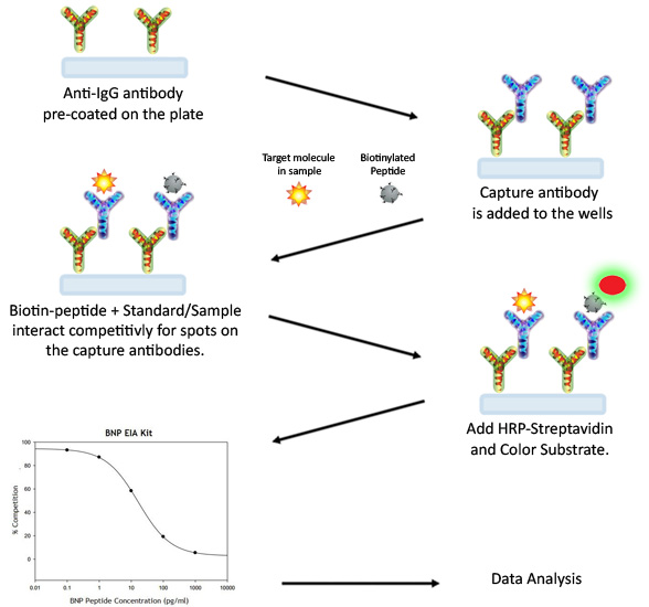 Dosage immunoenzymatique Dosage immunoenzymatique