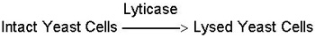 lyticase lyticase