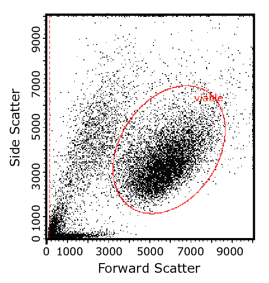 Flow cytometry plot showing how light-scattering characteristics of cells are used to identify cell populations of interest, here by their size and intracellular complexity.
