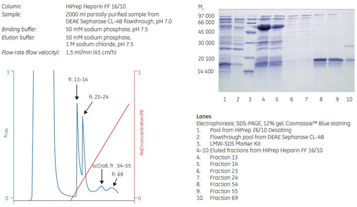 Purification or Removal of DNA-Binding Proteins