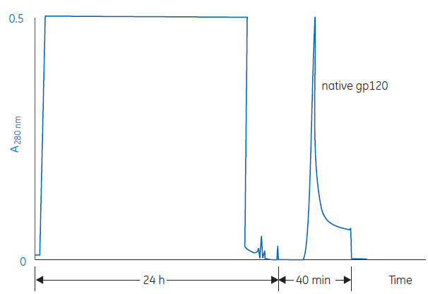 Separation of native gp120 protein