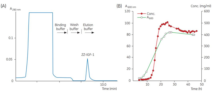 Chromatogram of a sample taken at one time point during fermentation Chromatogram of a sample taken at one time point during fermentation