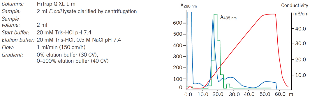 Clarified E. coli lysate on HiTrap Q XL