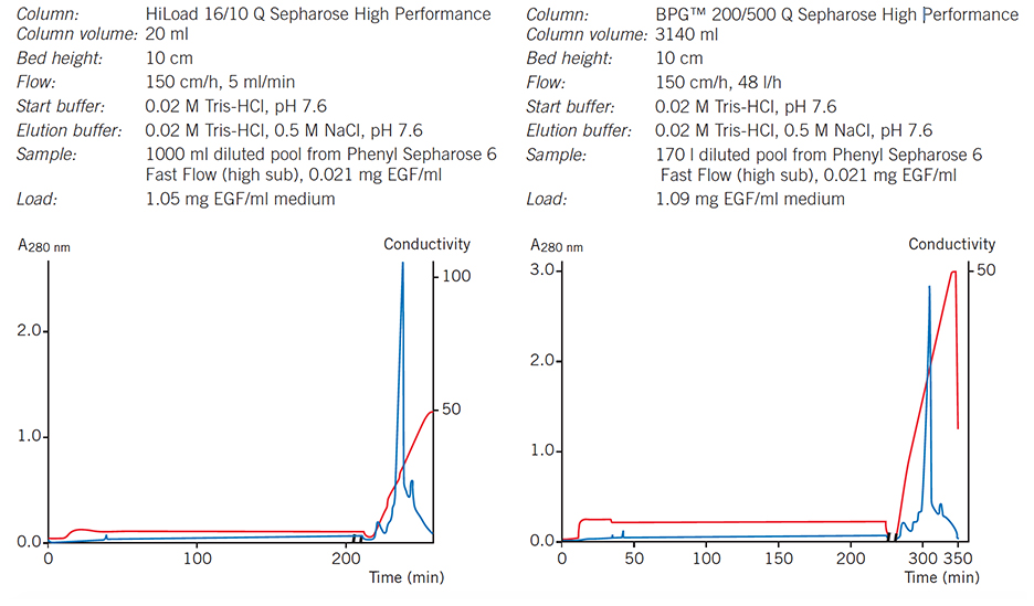 Elution pattern, purity and yield are maintained when scaling-up from a HiLoad column to a BPG column