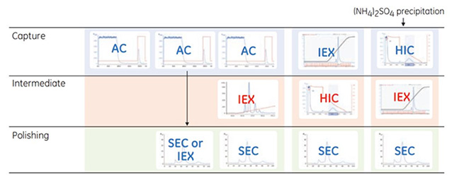 Examples of logical combinations of chromatography steps. Examples of logical combinations of chromatography steps.