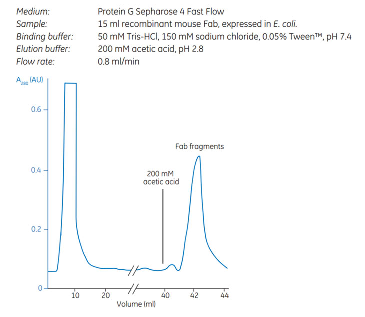 Purification of recombinant mouse Fab fragments Purification of recombinant mouse Fab fragments