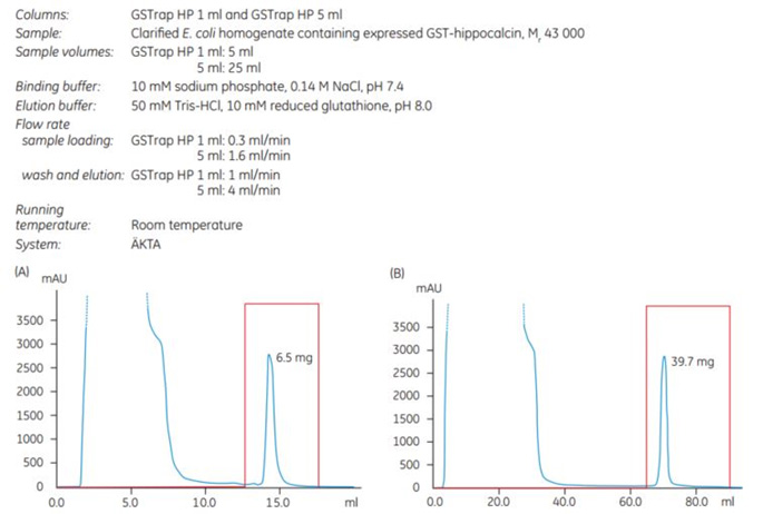 scale-up-gstrap-hp-1-to-5ml Scale-up from GSTrap