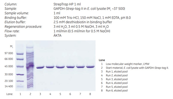 Repeated puriﬁcation and regeneration on the same StrepTrap™ HP column.